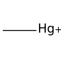 Methylmercury(1+)