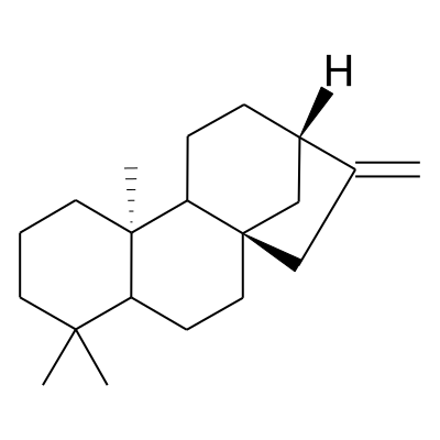 EOCID002552