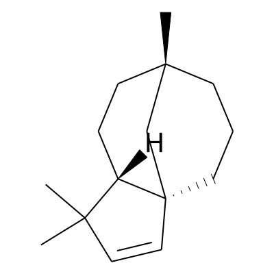 EOCID001032