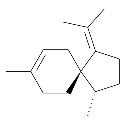 EOCID001125