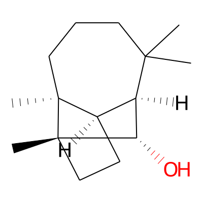 EOCID001916