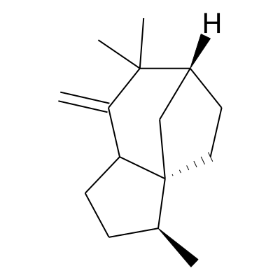 EOCID001063