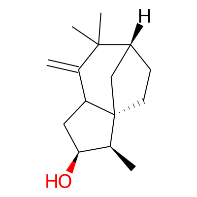 EOCID001263