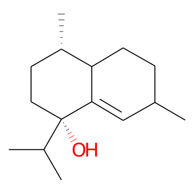 EOCID001873