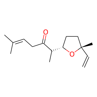 EOCID002832