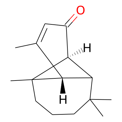 EOCID001071