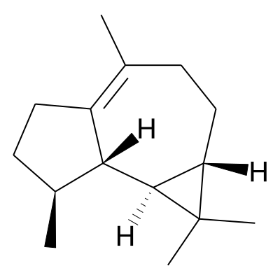 EOCID000009