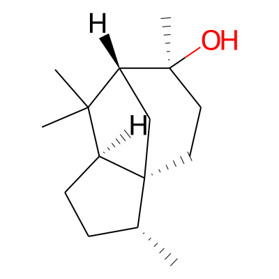 EOCID000538