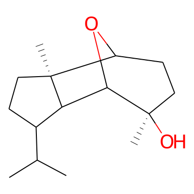 EOCID001875