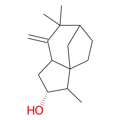 EOCID001262