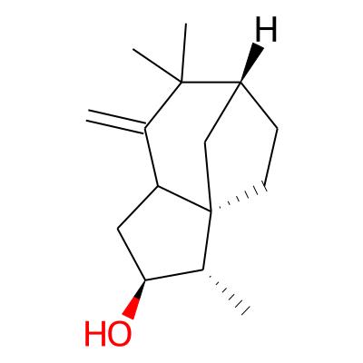 EOCID001260