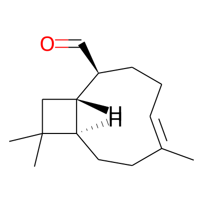 EOCID003100
