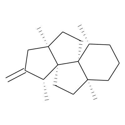 EOCID003107